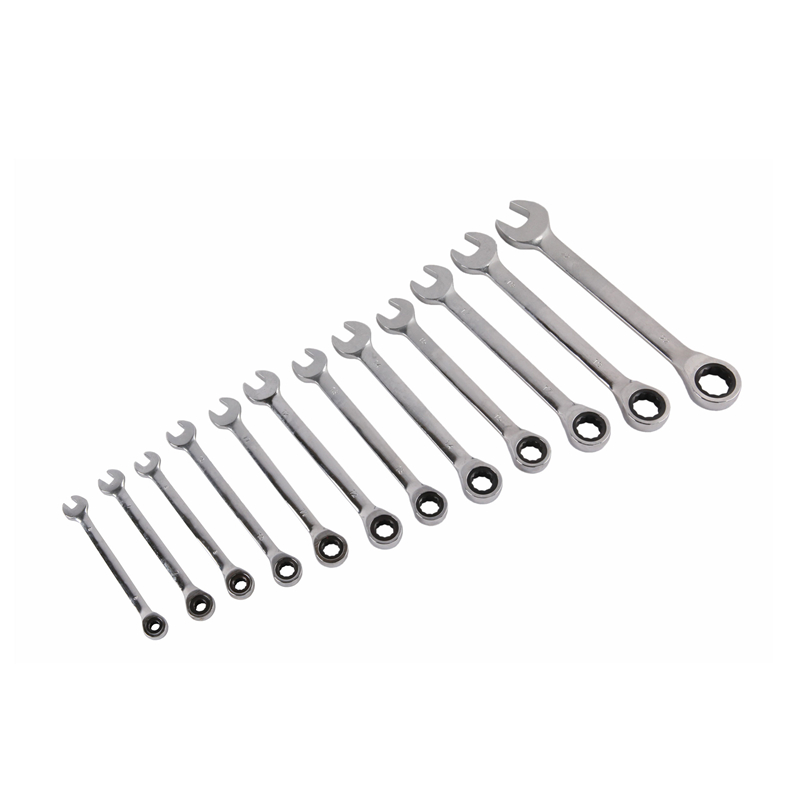 Chave inglesa-chave de catraca 12PCS fixa principal-GWS1006