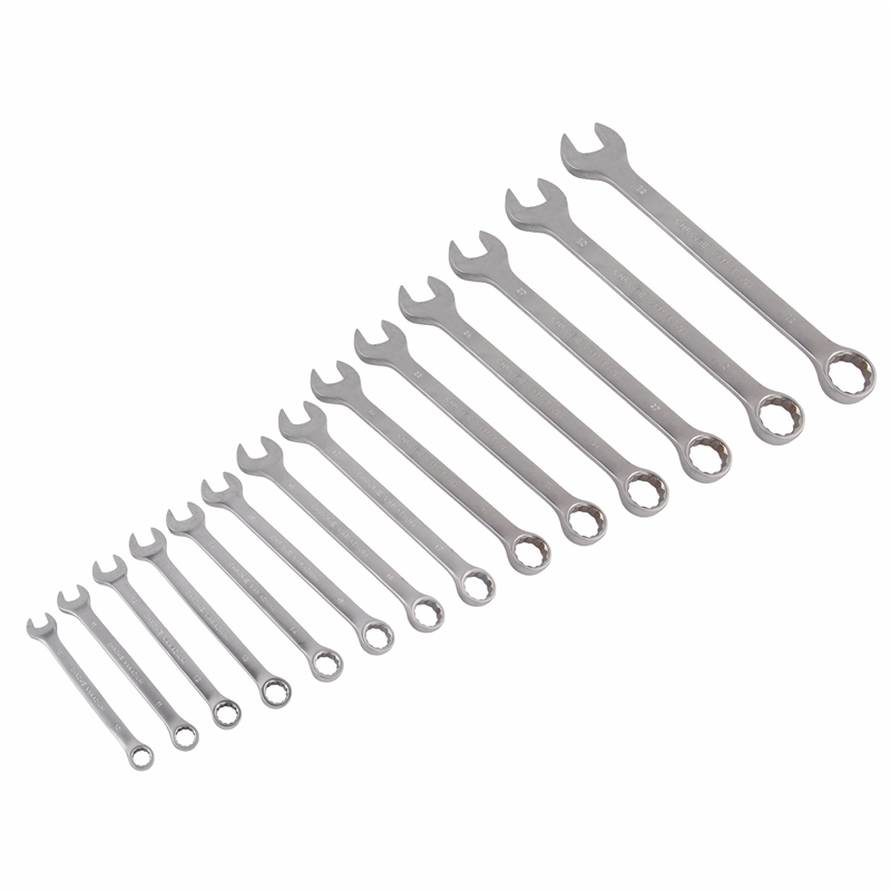 Chave inglesa-chave combinada 14PCS-WS1005